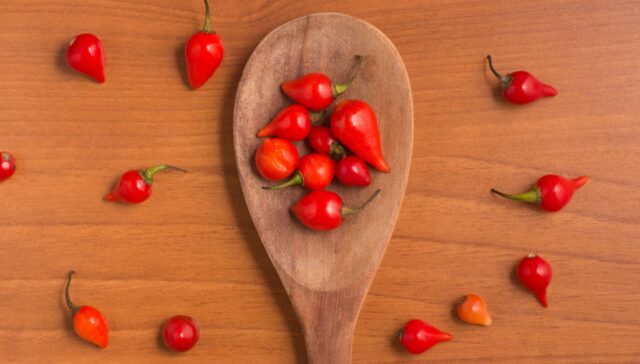 Receitas com Pimenta Biquinho